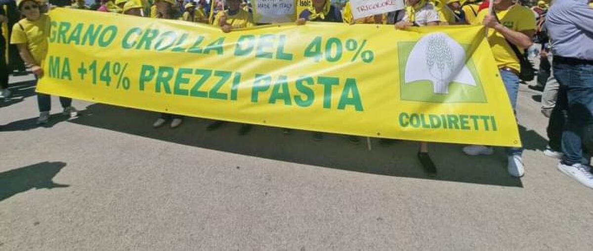Coldiretti Sicilia: Allarme sull'importazione di prodotti agricoli - potenziati i controlli nei porti. - 