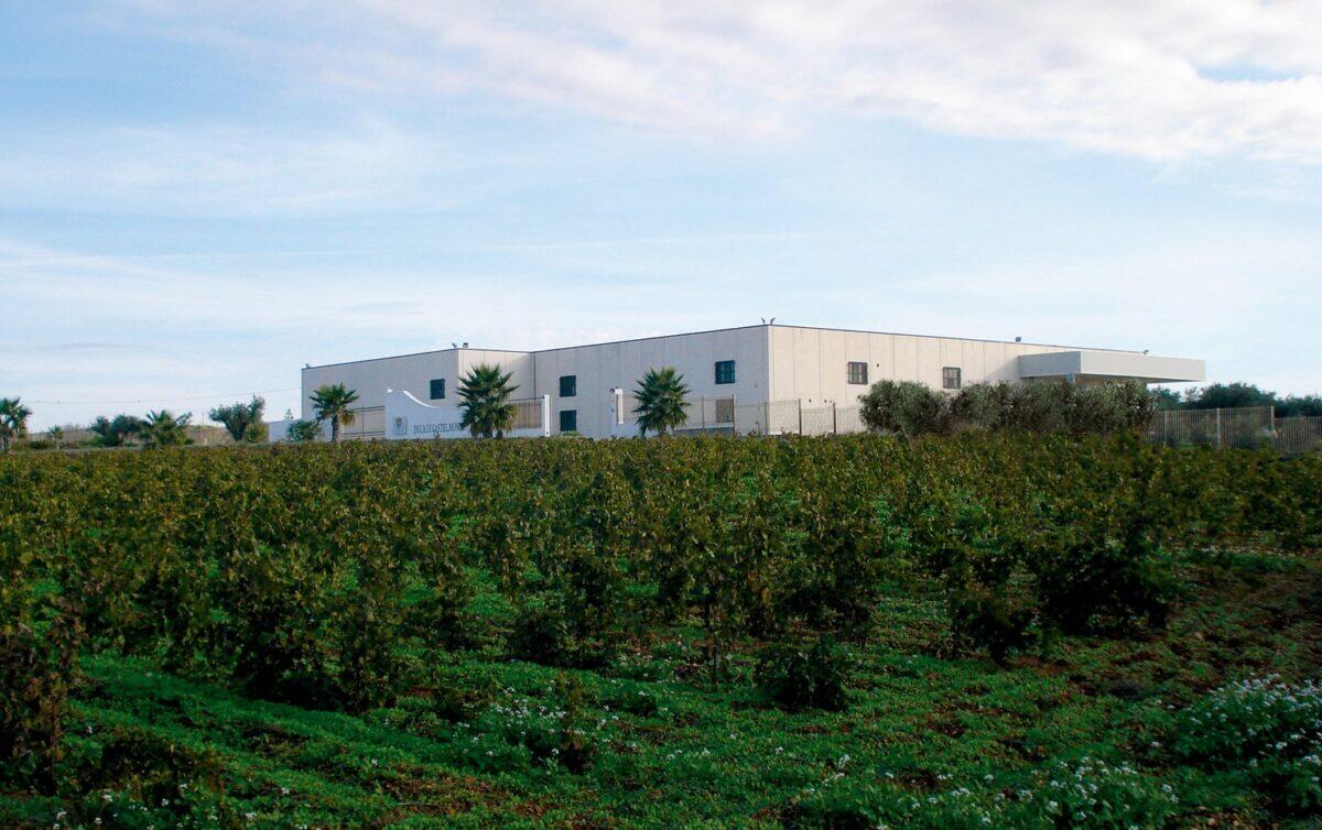 Cantine Pellegrino: Inaugura Imponente Impianto Fotovoltaico a Cardilla - 