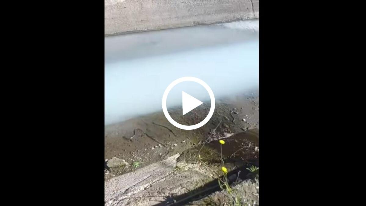 "Siamo senza speranze", Inciviltà a Catania pubblica il VIDEO ed è subito polemica - 