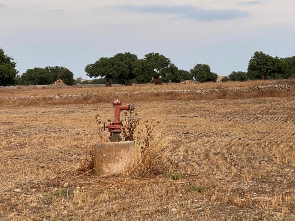 SICCITÀ IN SICILIA: LA GUERRA TRA CITTÀ E CAMPAGNA - 