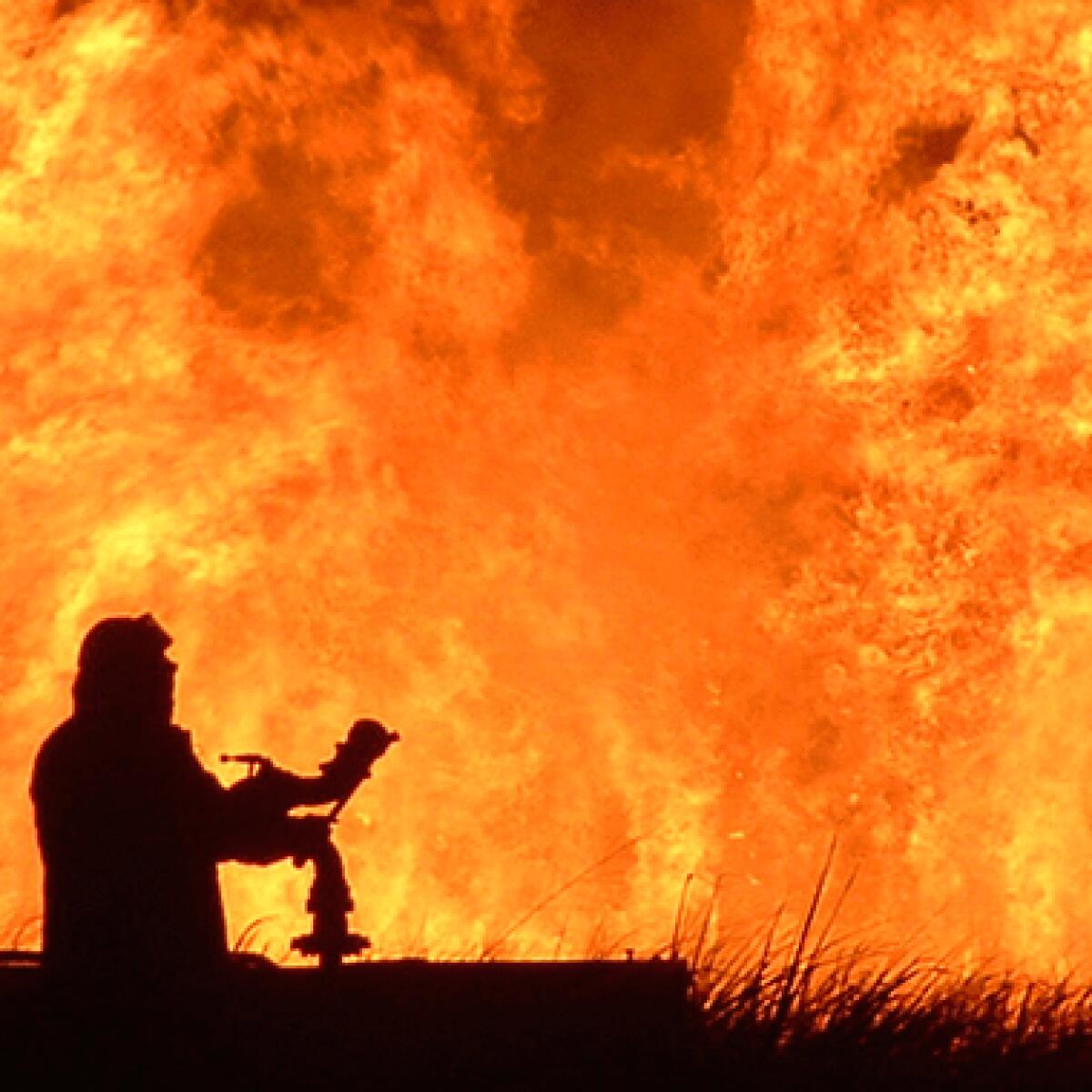 Comunicato stampa: Ordinanza Sindacale n. 70 - Antincendio 2024 a Palermo - 