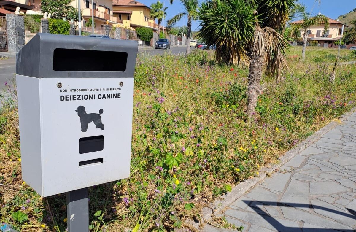 Nuove installazioni a Mascalucia, l'annuncio "green" del Sindaco arriva via social - 