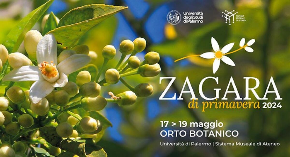 Zagara di Primavera 2024: Mostra-mercato di giardinaggio e florovivaismo a Palermo. - 