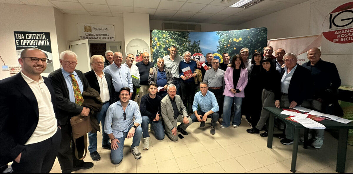 Assemblea soci Consorzio Arancia Rossa di Sicilia IGP: Stagione in chiaroscuro 2024 - 
