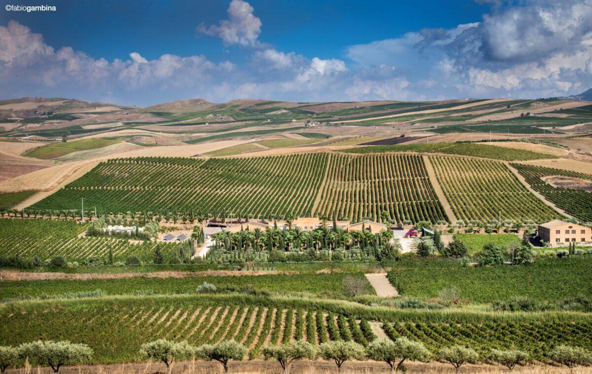 Donnafugata celebra la primavera con lo Chardonnay Opera Unica 2018 - 