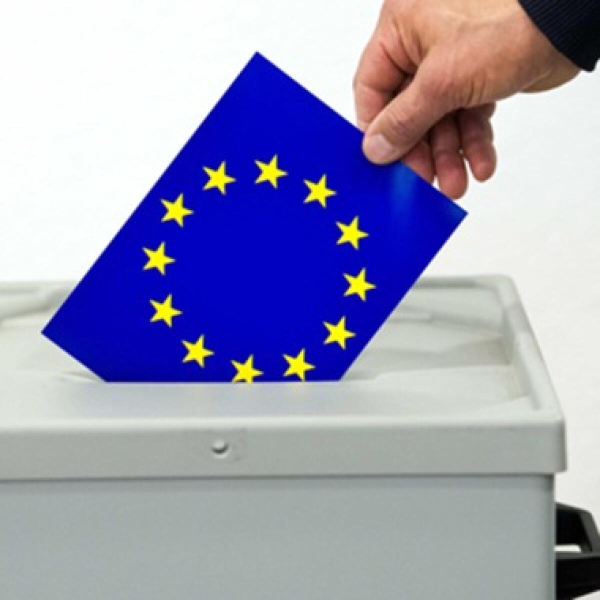 Manuale operativo per Uffici di Sezione dei Seggi Consolari nelle Elezioni Europee 2024 - 