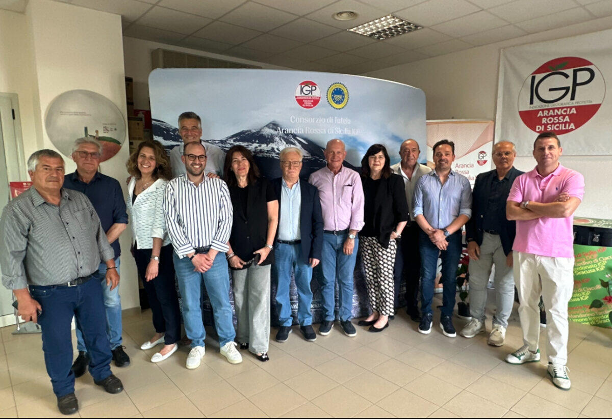 Gerardo Diana riconfermato presidente del Consorzio Arancia Rossa di Sicilia IGP - 