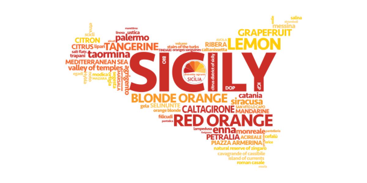 Ingresso di 20 nuove aziende nel Distretto Agrumi di Sicilia: svolte le Assemblee dei soci - 