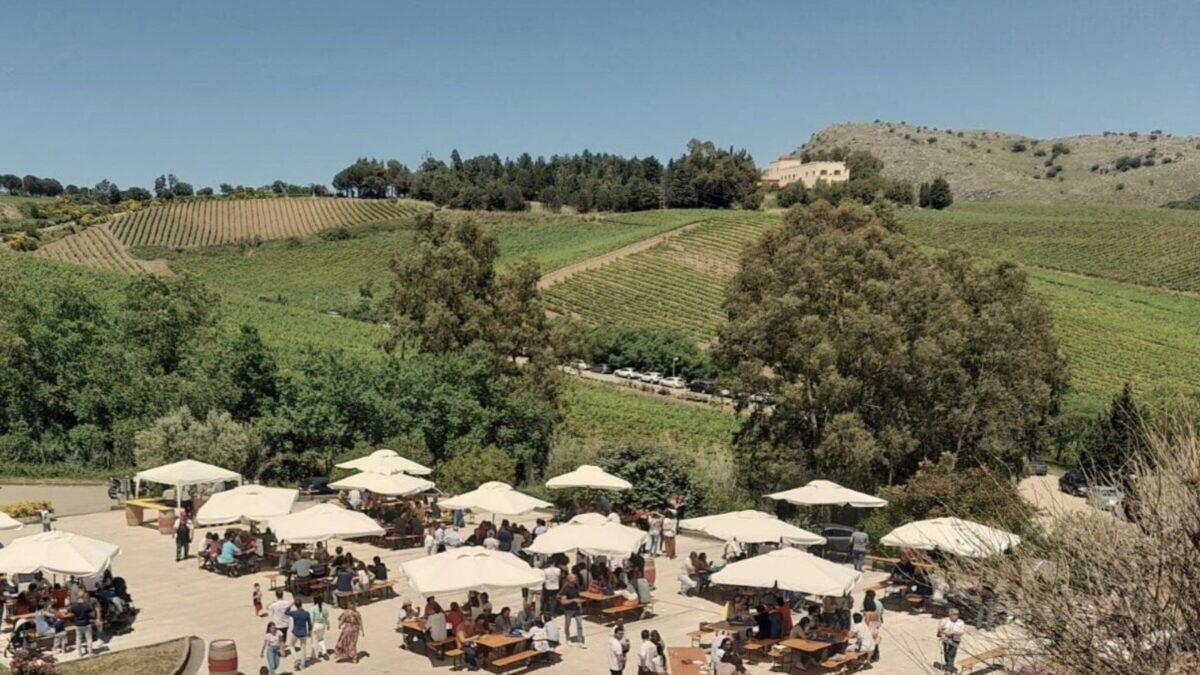 Cantine Aperte 2024: Eventi e Degustazioni in Sicilia - 