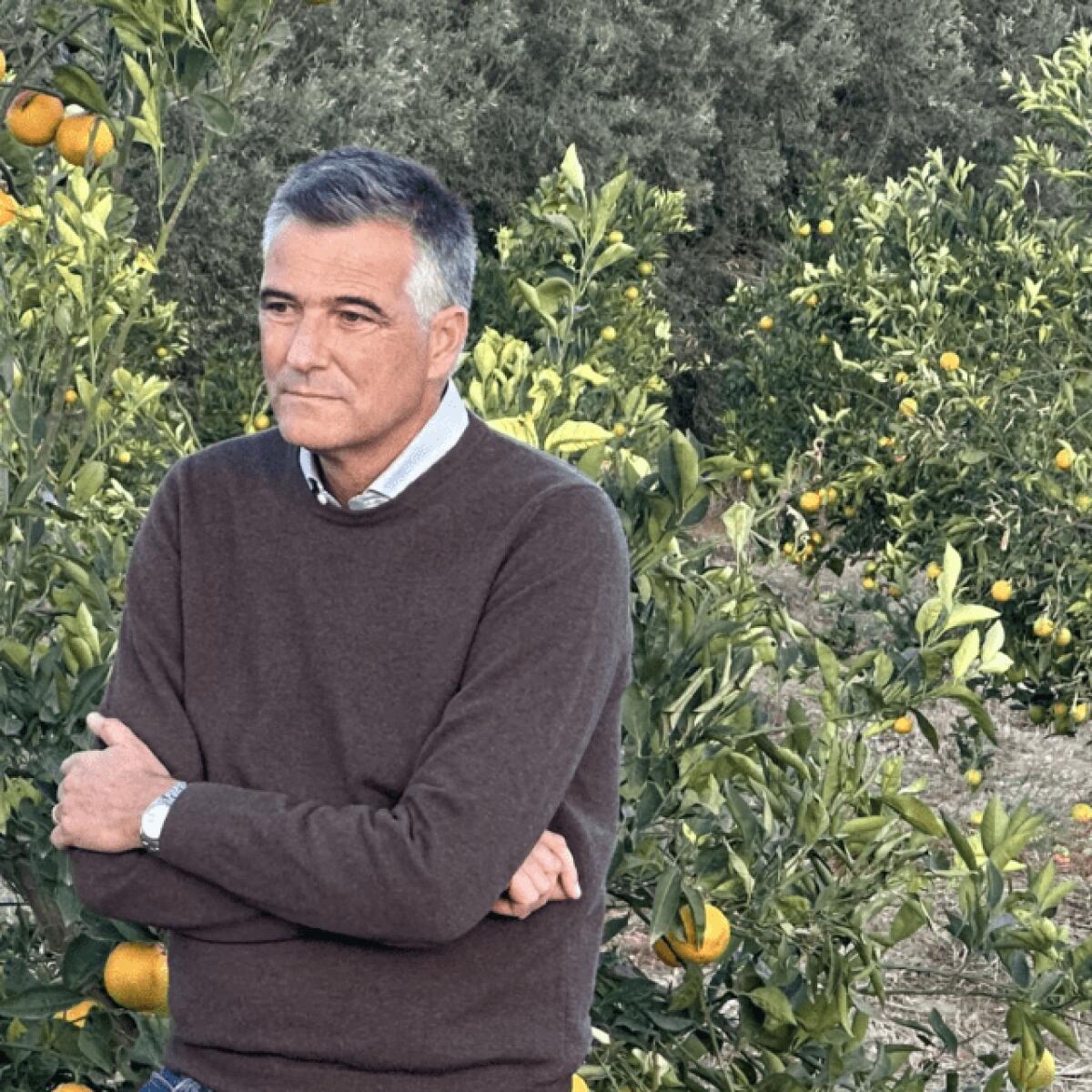 Emergenza siccità in Sicilia: il Consorzio Arancia Rossa invita il ministro a Catania - 