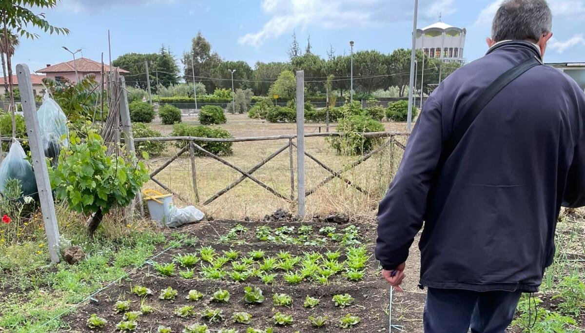 "Stare bene con l'orto", il programma completo del seminario sugli orti urbani - 