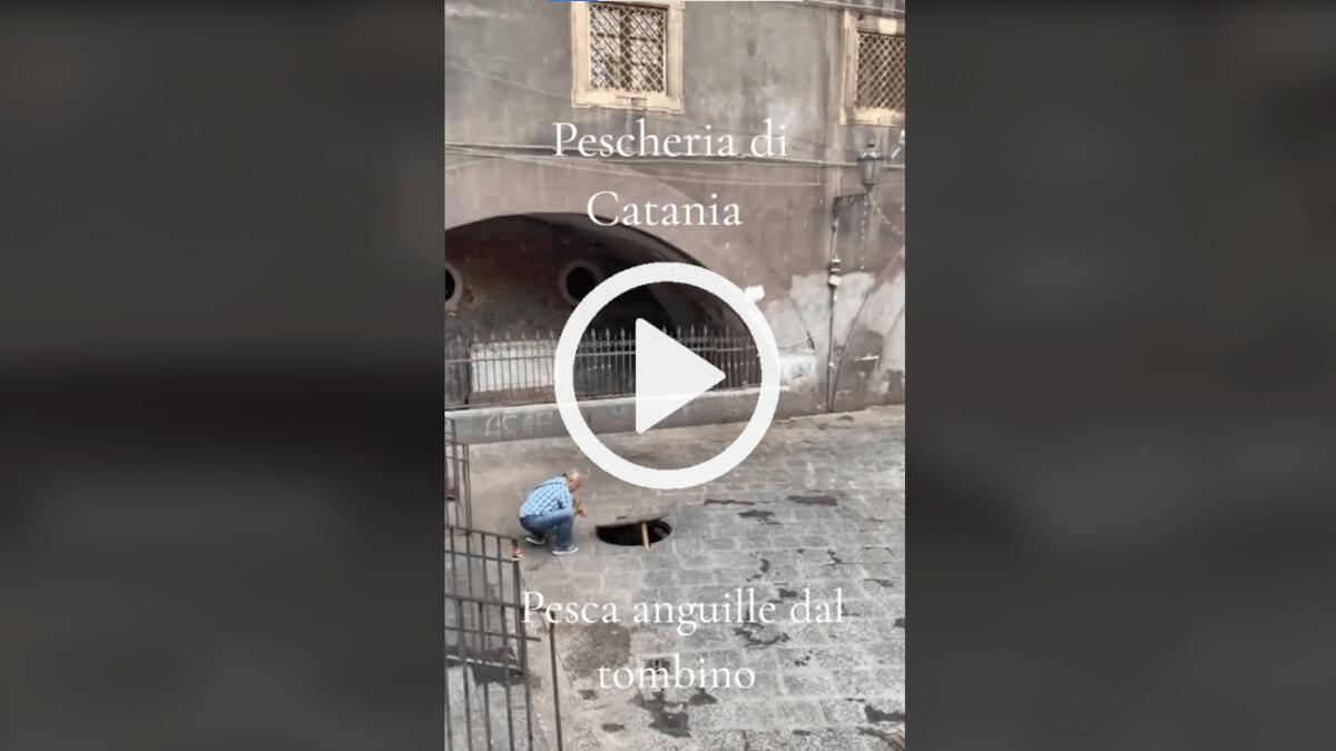 Solo alla Pescheria di Catania puoi pescare anguille dal tombino [VIDEO] - 