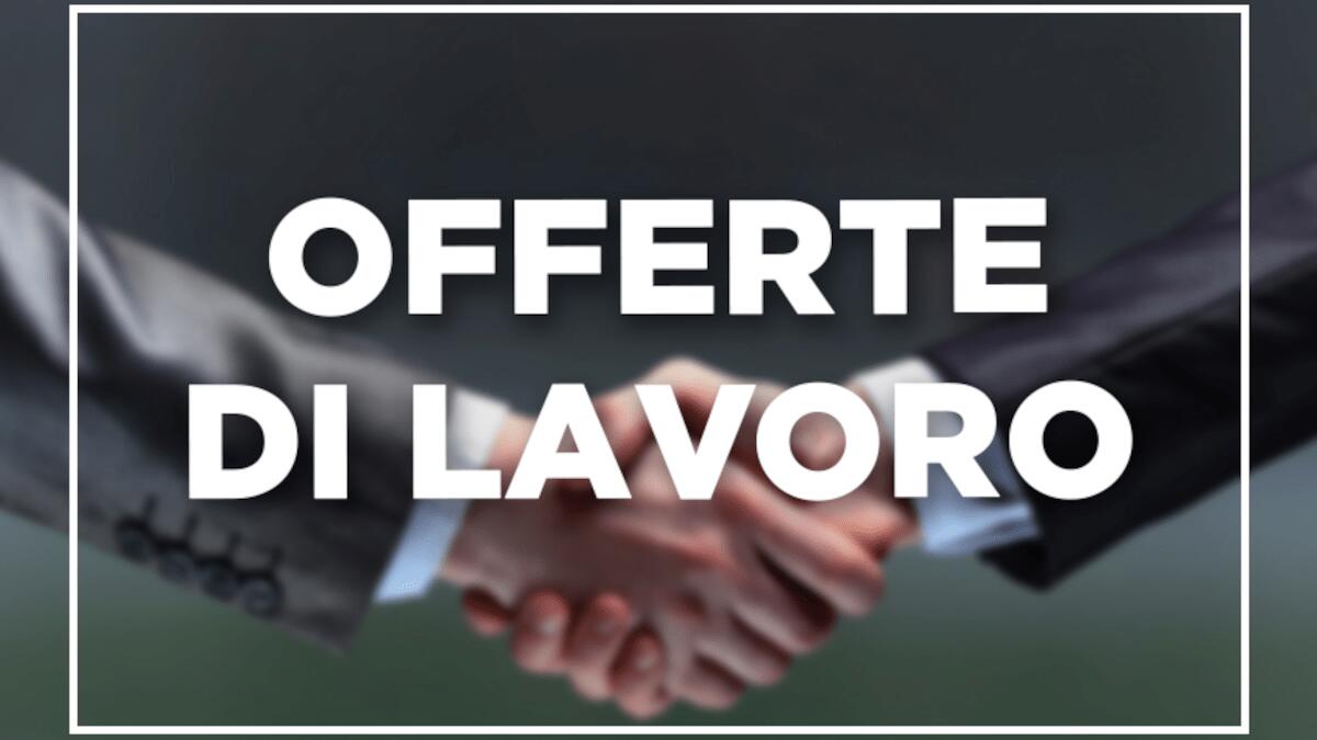 Opportunità di Lavoro a Catania: La Rinascente, Eurospin e Università assumono - 