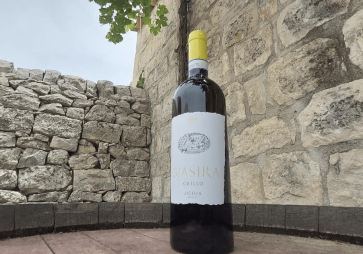 Grillo di Giasira trionfa al Concours Mondial de Bruxelles 2024 - 