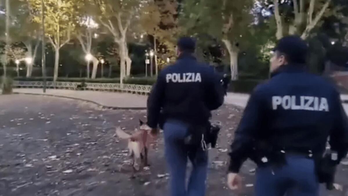 Pestato selvaggiamente da tre aggressori: vittima in carcere per violenza sessuale - 