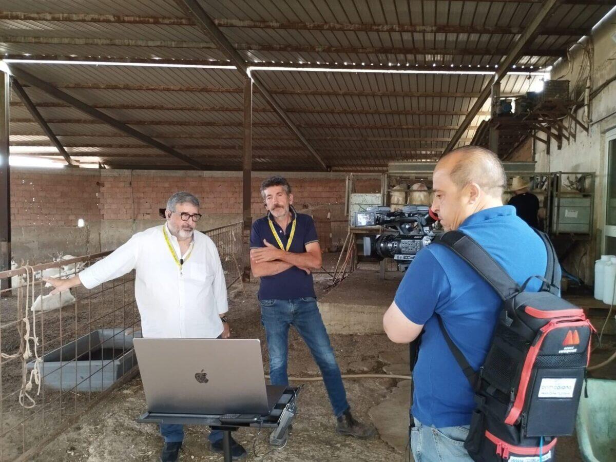 Emergenza acqua per le aziende zootecniche di Caltanissetta - 
