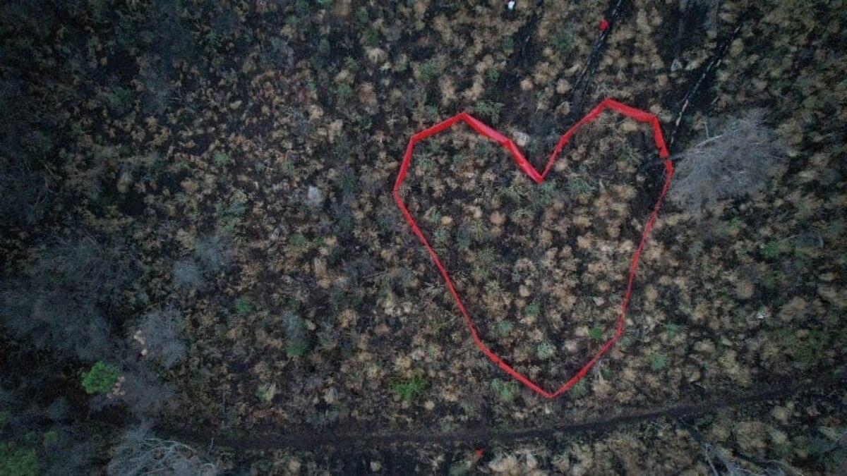 "Un cuore per l'amore verso la nostra terra", Nicolosi ricorda l'incendio ai Monti Rossi - 