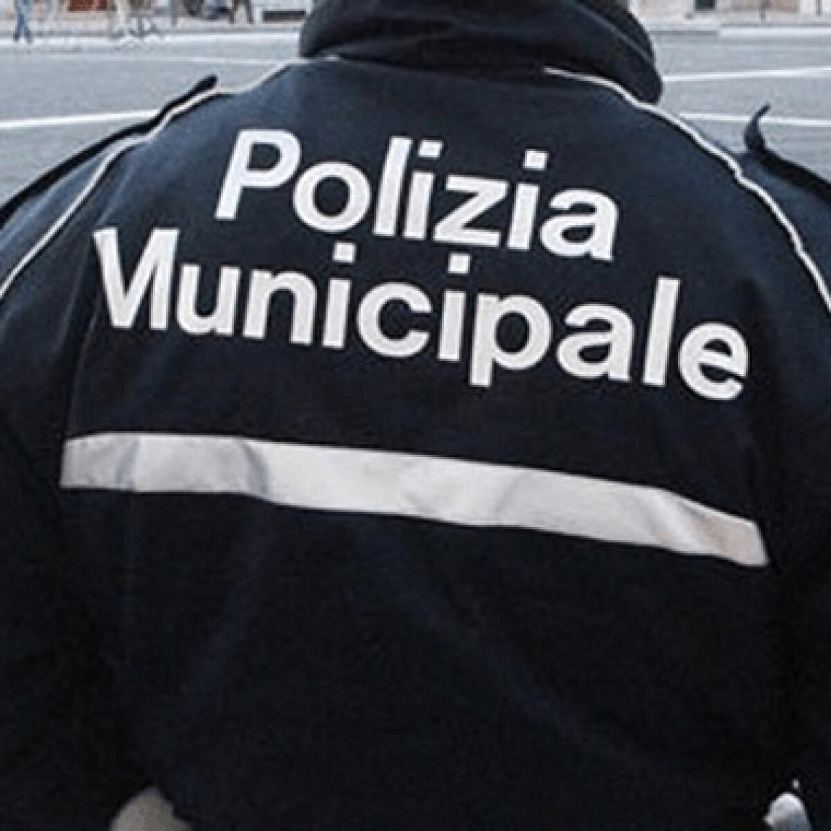 Sanzionata impresa per scavo abusivo e carrozze sottoposte a fermo: comunicato stampa del Comune di Palermo - 