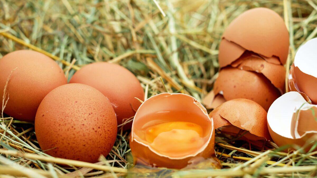 Attenzione alle Uova: Richiami di Vari Marchi nei Supermercati per Rischio Salmonella! - 