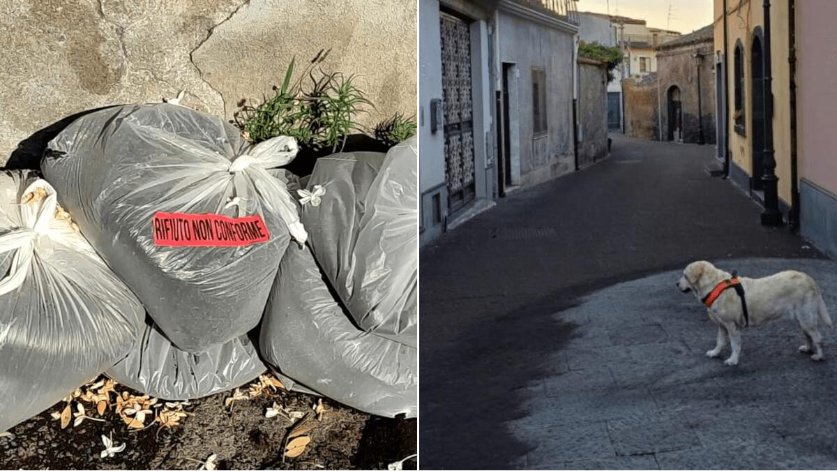 Nuovo sistema di raccolta della cenere lavica: le istruzioni per i cittadini dopo l’attività dell’Etna - 