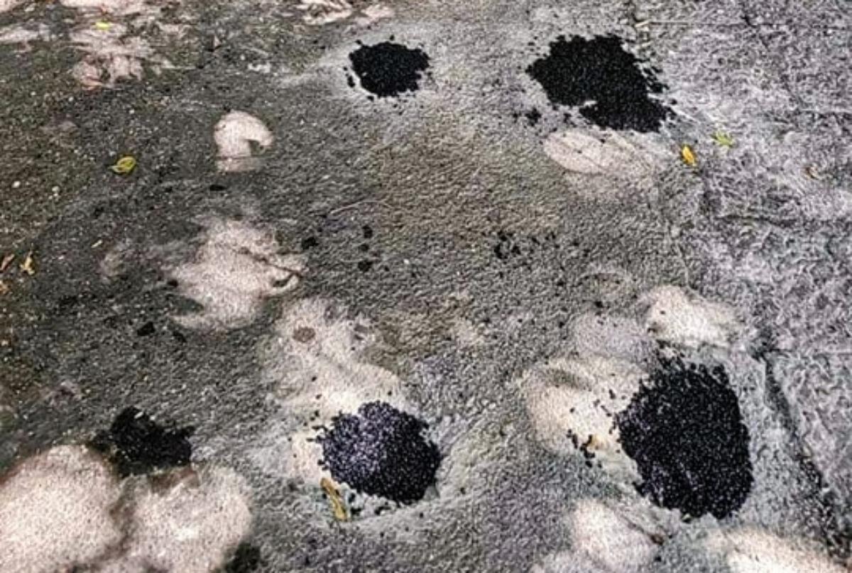 "Un altro desaparecidos", ecco cosa manca in Piazza Dante - 