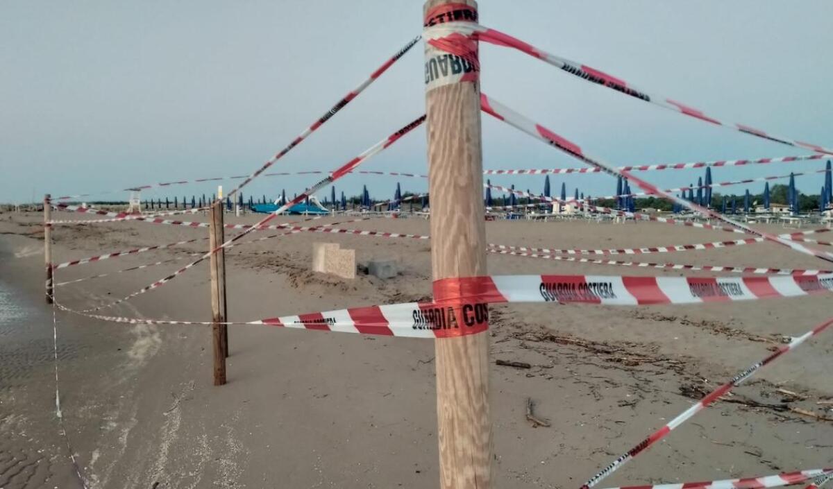 Rovigo: piccolo esploratore fa il bagno al mare e scopre una sorprendente noce sul fondale, che si rivela essere una bomba! - 