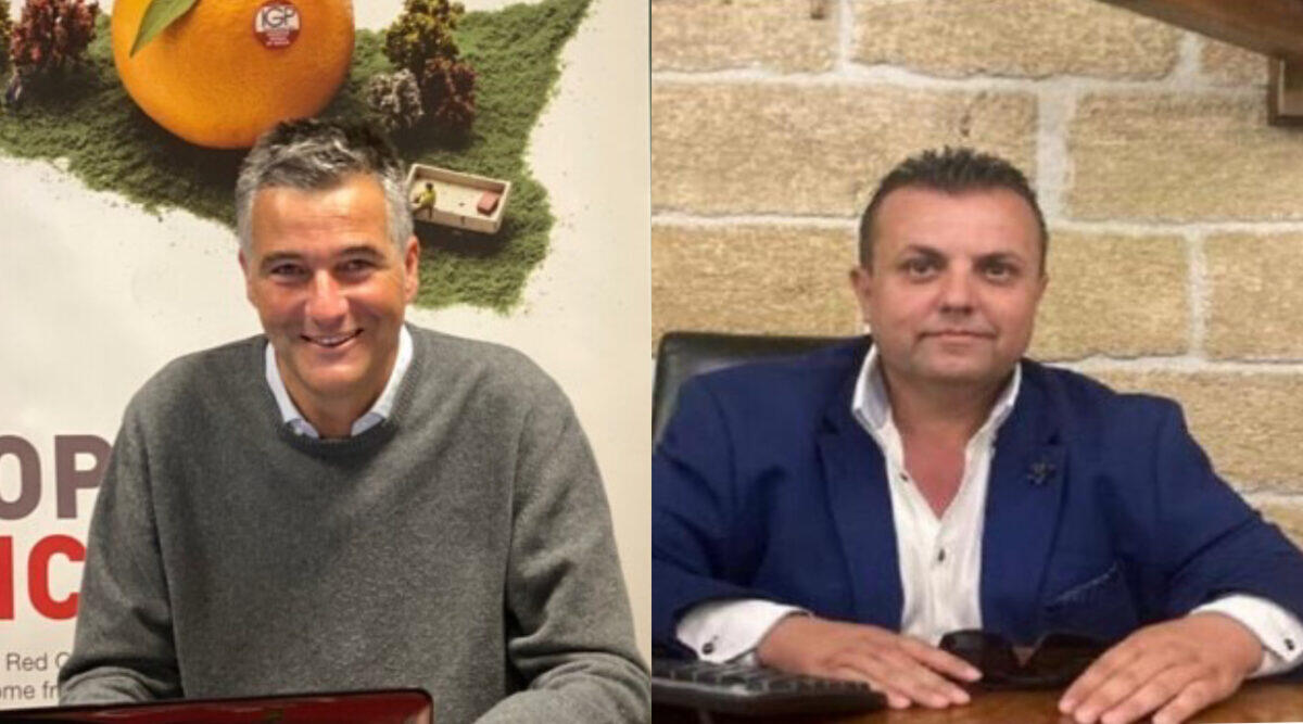 Agricoltura in Sicilia, consorzi Arancia Rossa IGP e Ribera Dop chiedono un incontro urgente con il nuovo assessore Barbagallo! - 