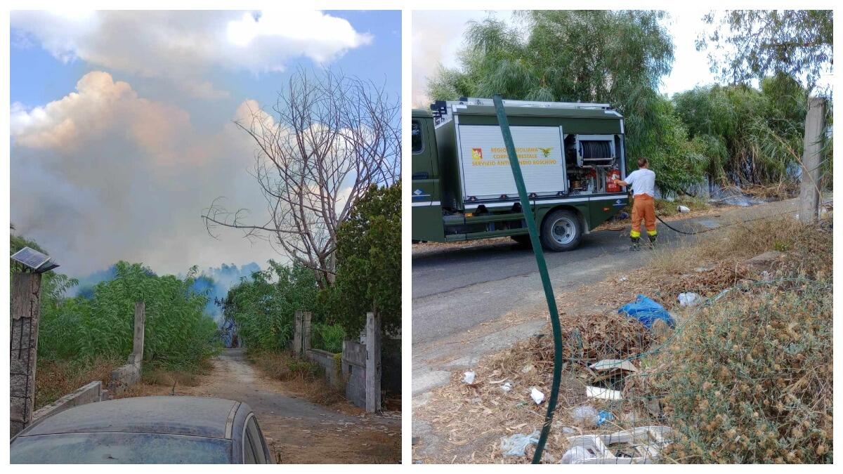 Vaccarizzo, vasto incendio incide la riserva [VIDEO] - 