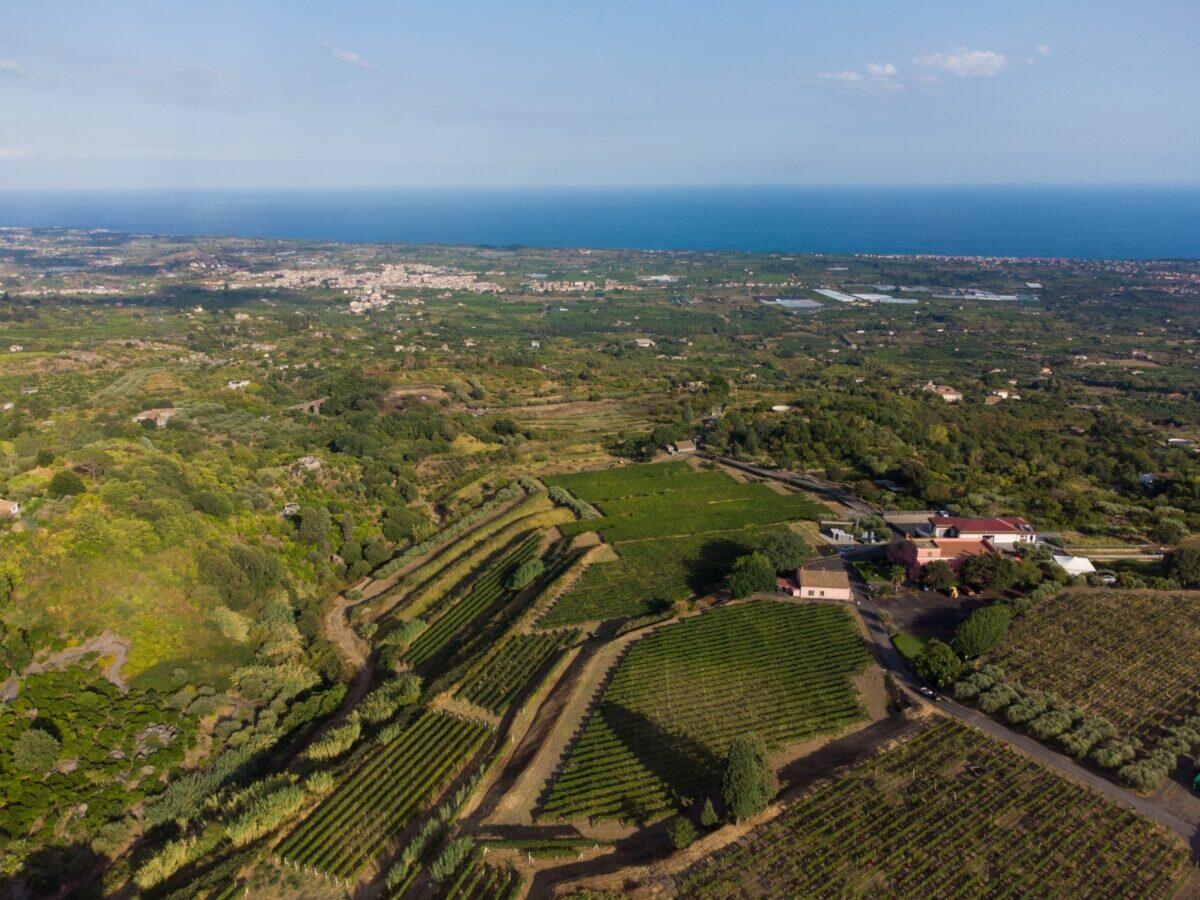 Ritorna Versante Est: diciannove cantine si svelano tra degustazioni e arte! - 