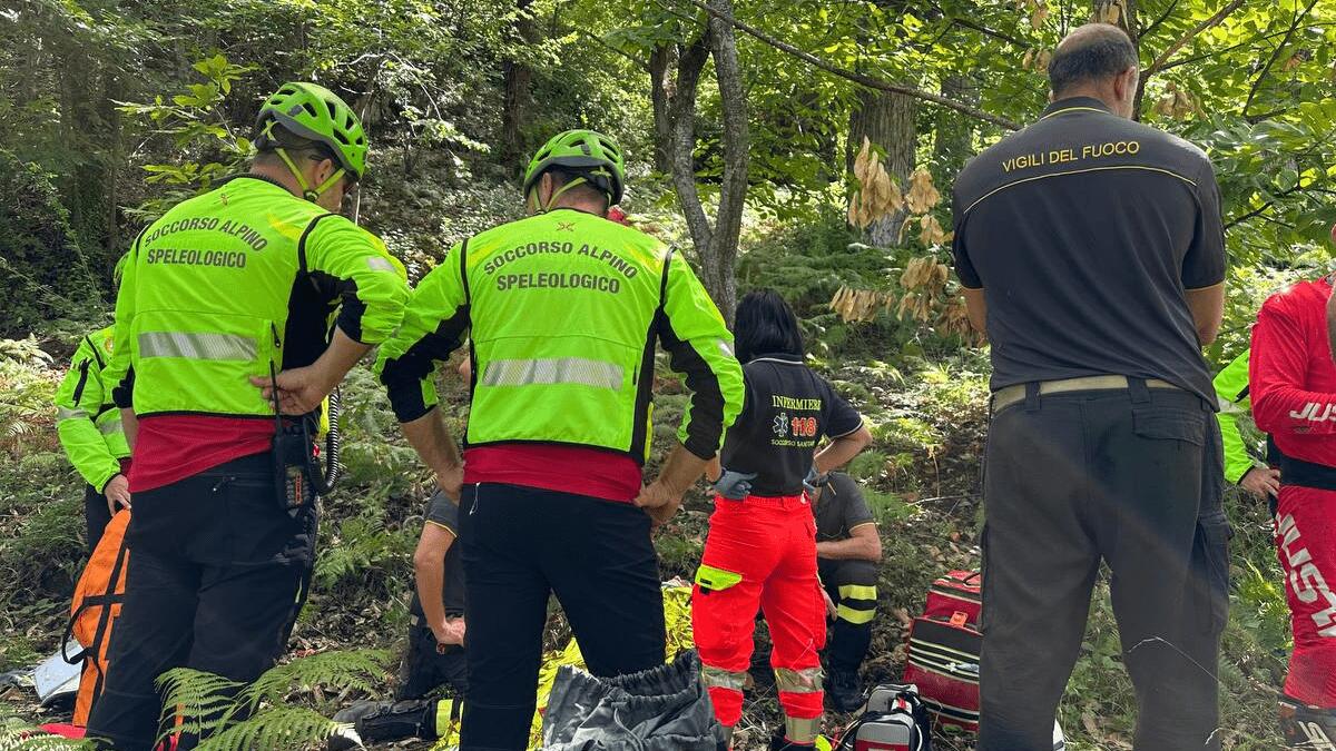 Ottantenne disperso durante la ricerca di funghi: ritrovato dopo aver passato la notte nel bosco - 