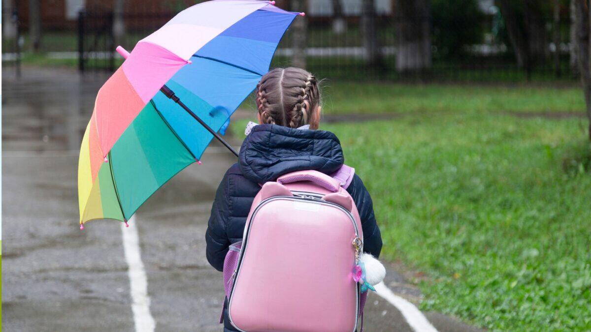 Maltempo a Bologna: scuole medie e superiori chiuse, rimanendo aperte quelle primarie e dell'infanzia! - 
