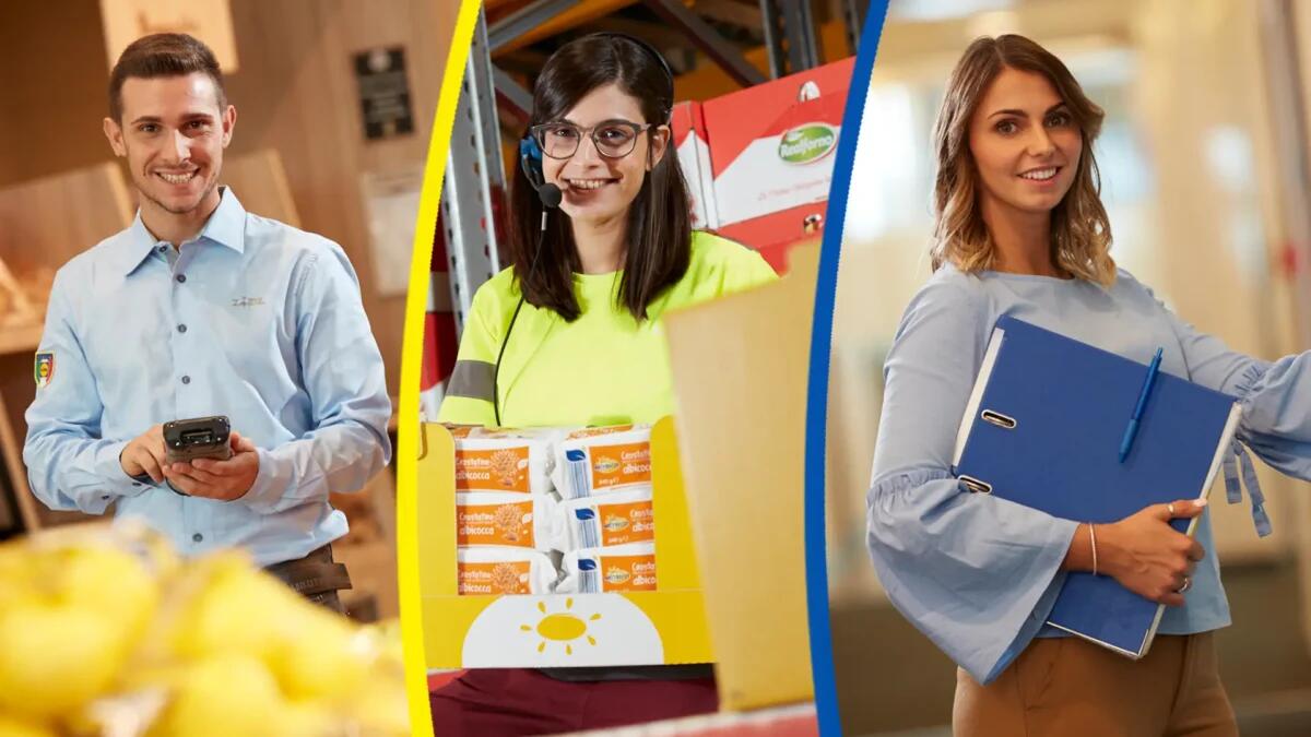 LIDL assume, nuove posizioni aperte, requisiti e modalità per candidarsi - 