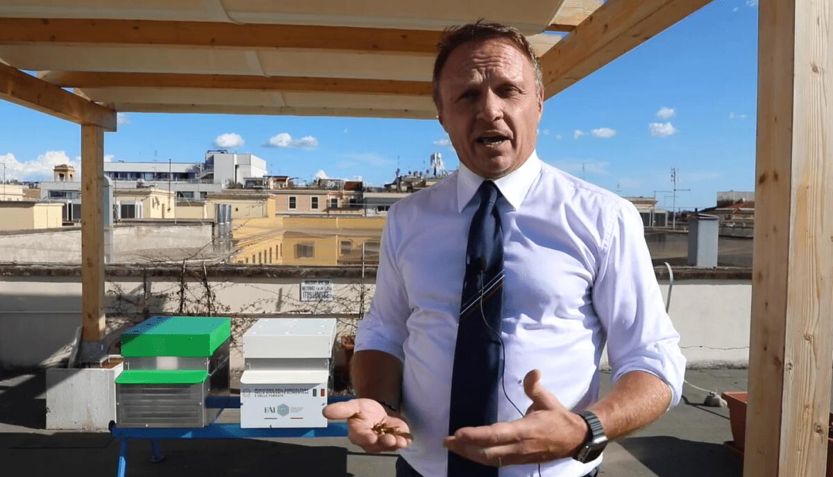 Un dramma nelle api: 50mila esemplari degli alveari del ministero dell'Agricoltura spazzati via. Lollobrigida denuncia il temuto attacco della Vespa Orientalis! - 
