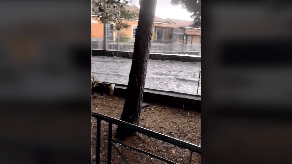 Nubifragio nel Catanese: in pochi minuti strade come fiumi [VIDEO] - 