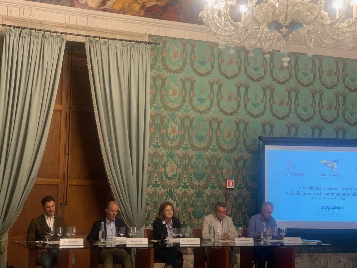 La Sicilia del vino: Resilienza e Innovazione nella Lotta al Cambiamento Climatico - 
