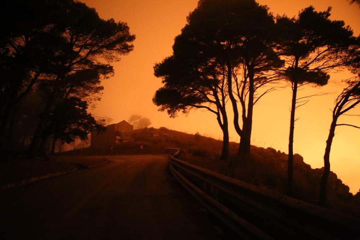 Erice: L’incendio a Monte San Matteo domato grazie all'eccezionale impegno dei volontari di Protezione Civile - 