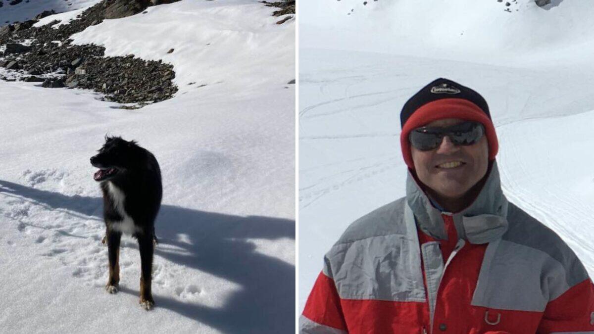 Trovato vivo il cane di un alpinista disperso da 15 giorni | La speranza di ritrovare l'uomo si riaccende! - 