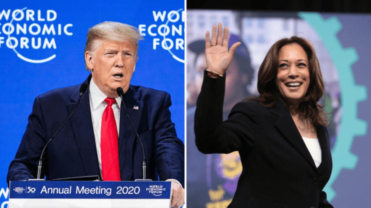 Elezioni Usa: l'87% degli americani teme "danni permanenti" | È davvero così grave il clima politico? - 