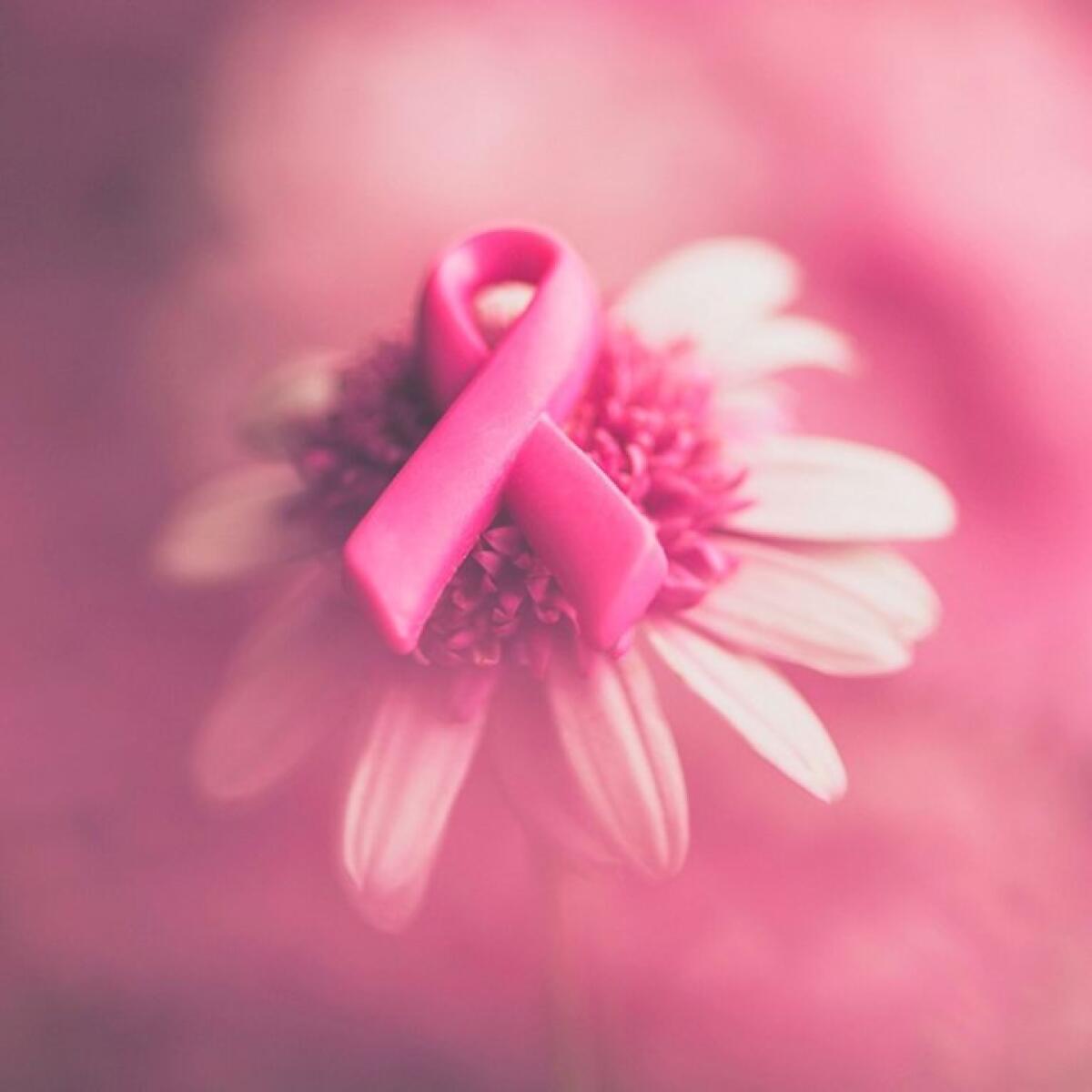 Ottobre Rosa: Messina sorprende con iniziative mai viste prima | Il Comune può davvero fare la differenza? - 