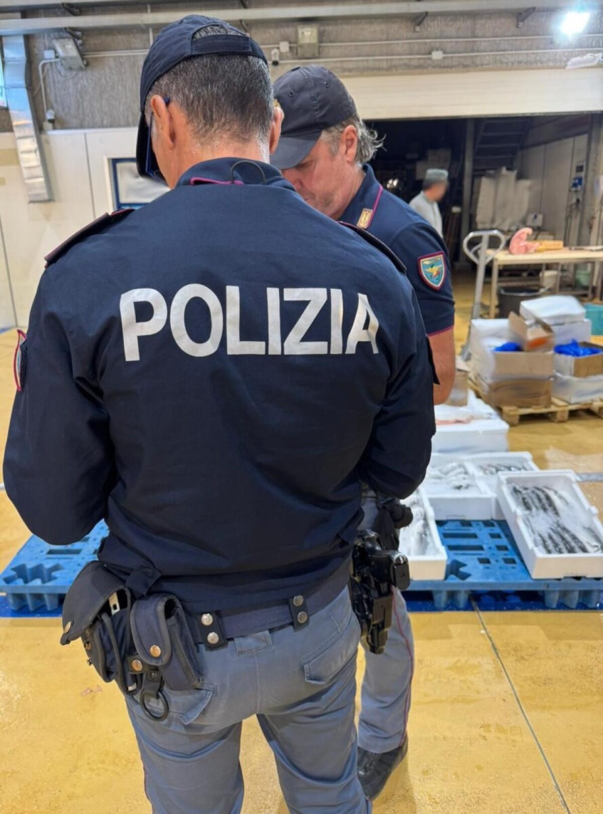 Controlli a sorpresa al Mercato Ittico di Catania | Il pesce privo di tracciabilità che ha lasciato tutti a bocca aperta! - 