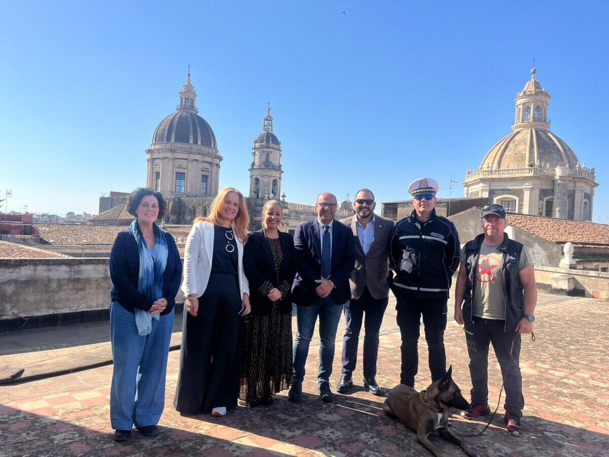 Un'iniziativa innovativa contro il randagismo| La collaborazione tra Mascalucia e Catania potrebbe cambiare tutto! - 
