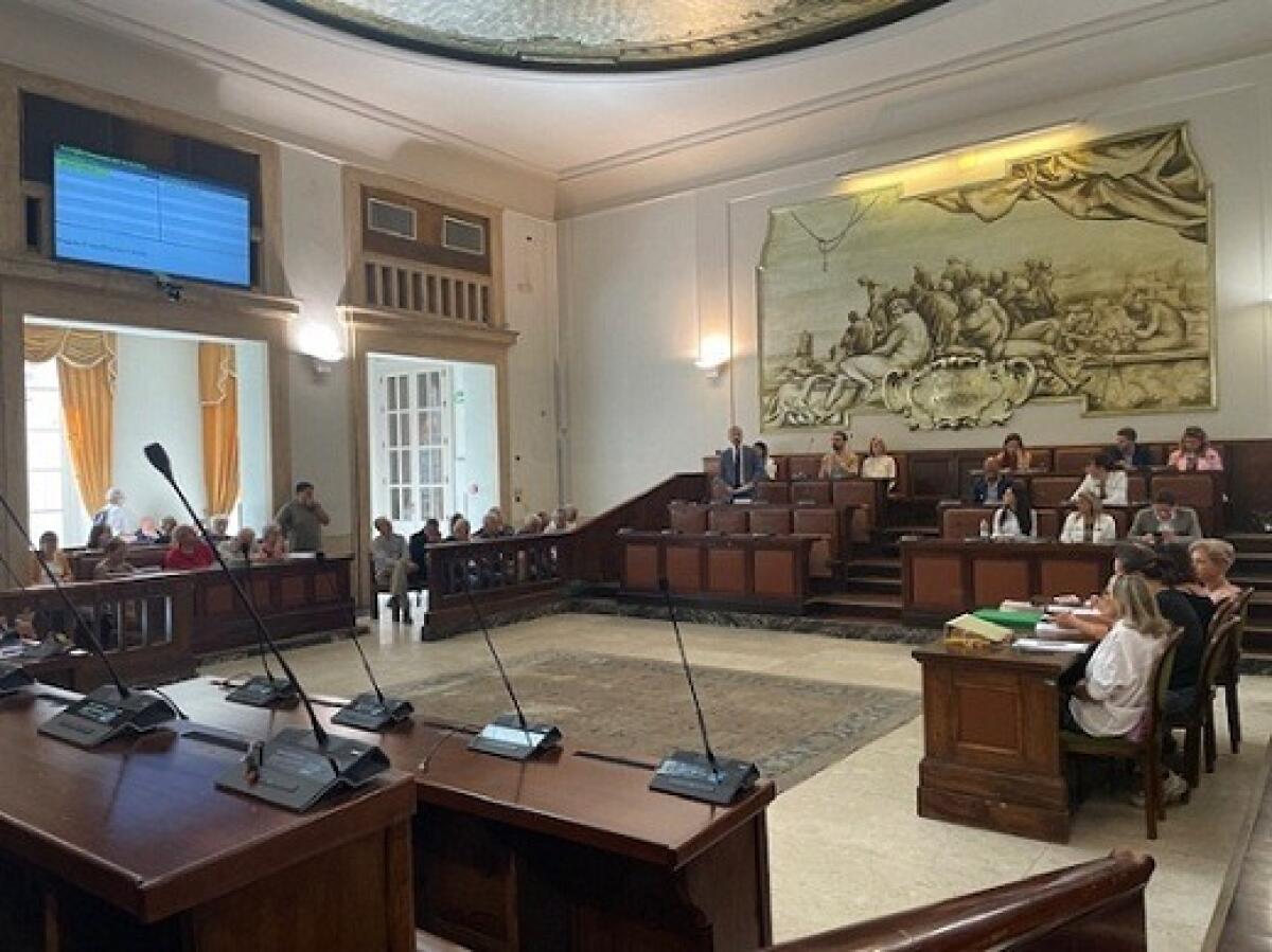 Nuovi volti nella Consulta comunale per la disabilità | Perché mai i cittadini dovrebbero preoccuparsi? - 
