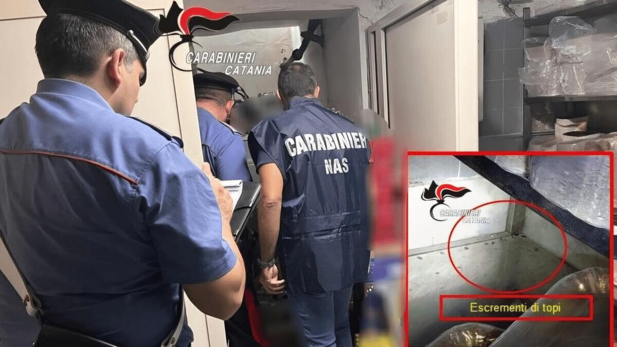 Il noto bar in via Etnea? Pieno di topi, blatte e sporcizia: Carabinieri sospendono attività - 