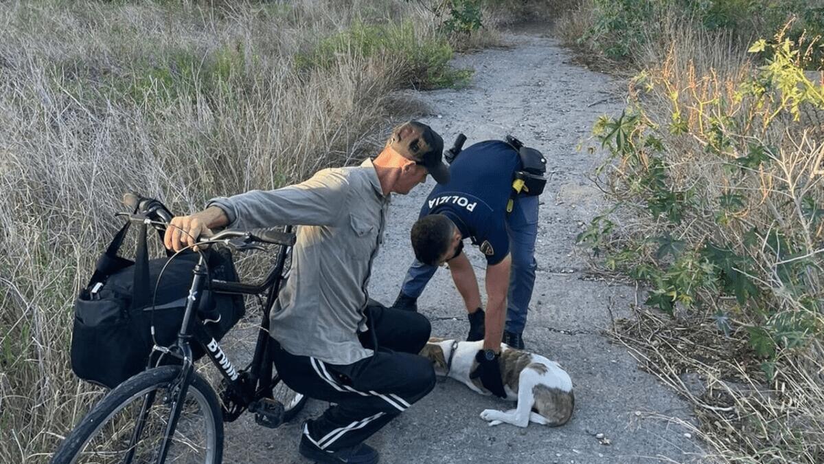 Nell’incendio al Villaggio Sant’Agata Polizia salva un clochard e il suo cagnolino - 