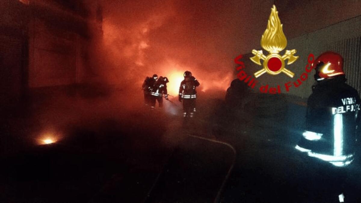 Felino eroe: miagola per l’incendio in casa, gatto salva la sua famiglia ma non sopravvive - 