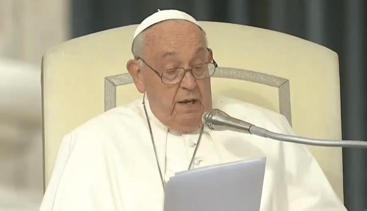 Papa Francesco celebra nuovi santi | Ma perché il messaggio di pace è più urgente che mai? - 