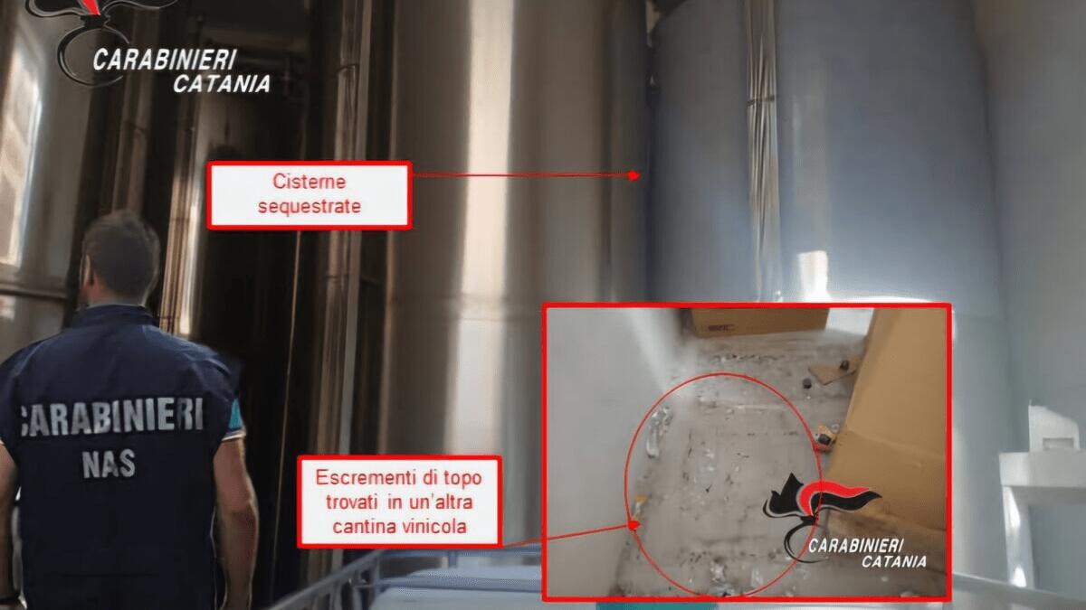 Tour delle cantine vinicole in Sicilia tra escrementi di topo e vini pregiati: sequestro dei Carabinieri - 
