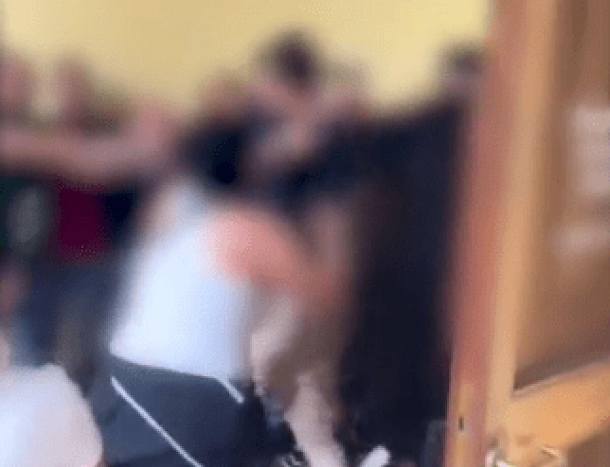 Cane muore in clinica veterinaria | La reazione dei proprietari lascia senza parole! - 