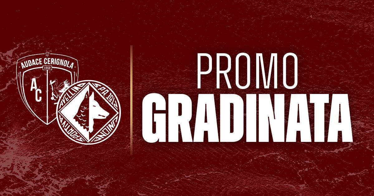 Trapani lancia offerte imperdibili! | Scopri perché potresti perdere un'occasione unica! - 