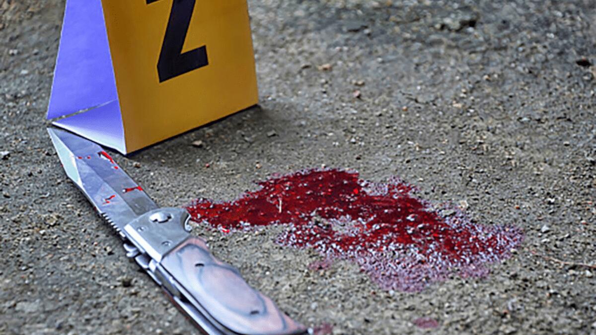 Accoltellamento in famiglia: 70enne trafigge sette volte la figlia 30enne - 